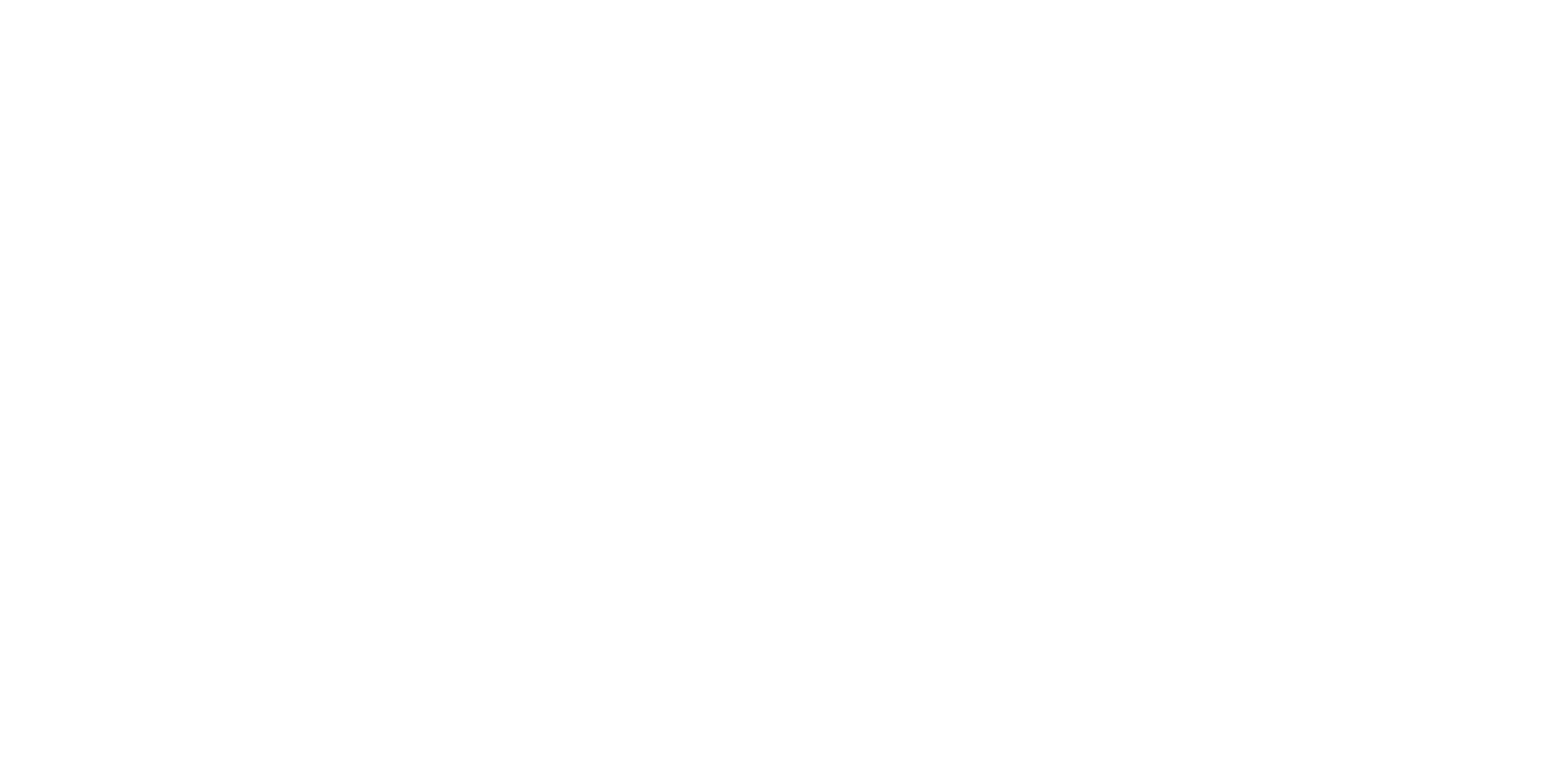 finish